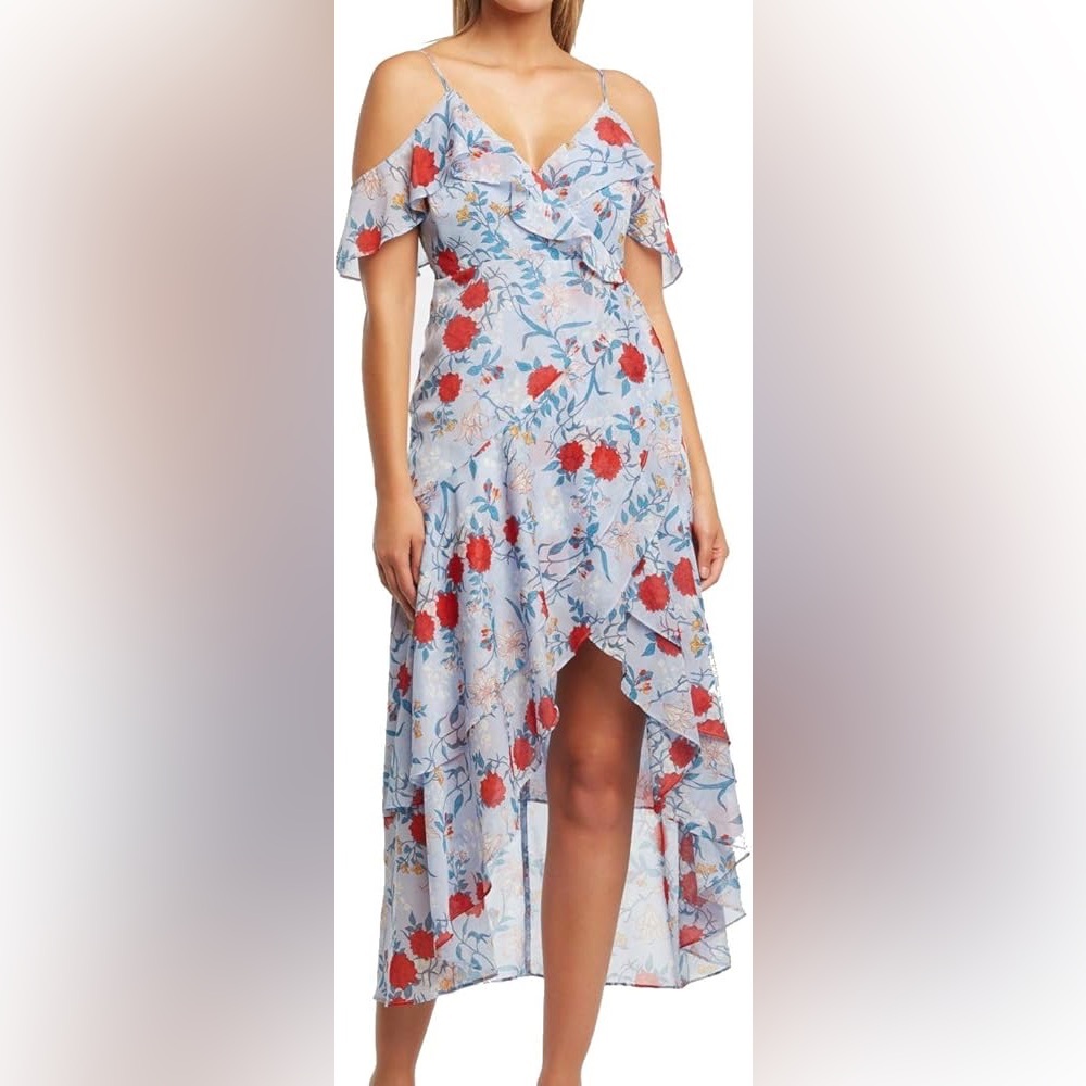 🌸Bardot. Size 6/8. Light Blue Floral Ruffle Midi Dress with Red Blooms